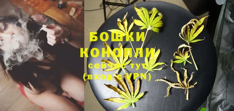 Бошки Шишки OG Kush  Кирс 